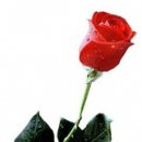 메이데이 이미지