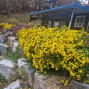 동국농장 이미지