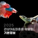 수원 컨벤션센터 4월 관상어 파충류 박람회 방문후기 현장구매