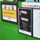 일선화 이미지