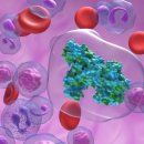 CK피트니스 이미지