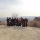횡단보도 삼거리 이미지