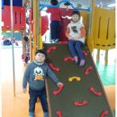 멀티플레이존 이미지