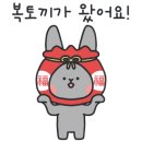 씨더메종 이미지