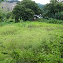 고송보건진료소 이미지