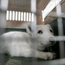 미소지은농장 이미지