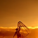 Morning Lake 이미지