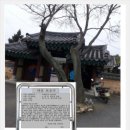 마을 보호수 이미지