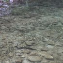 이동계곡 캠핑장 이미지