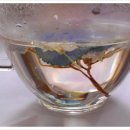 꽃차만들기 이미지