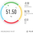 2022.5.28 토요일 (160/51.50) 이미지