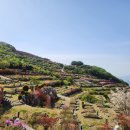 삼덕공원 이미지