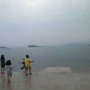 보령낚시