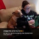 (주)펫찐 이미지