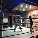 레드윙 복싱 이미지