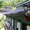 대자연횟집 이미지