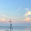 아마스빌 리조트 네이버블로그