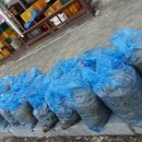 천수농원 이미지