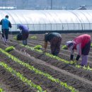 일수농장 이미지