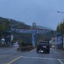 태학여내길 | 2025년 제7회 강원n홍천 산나물축제 방문후기 주차 맛집 먹거리 산나물 정보