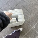 비스토리호텔(B Story Hotel) | 인도 4박6일 여행 1일차 | 트립빌리지 패키지, 항공권, e-visa, 유심 구매