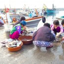 유동어촌체험마을 이미지