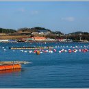 바다목장 이미지