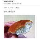 이쁜멍멍이 이미지