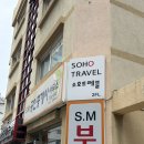 일본 워홀 준비하기 ③ 접수 대행사 추천ㅣ홍대 소호트레블 후기