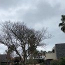 아르떼 카사 이미지