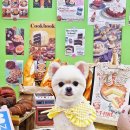 예쁘개 미용 네이버블로그