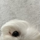 놀자 이미지