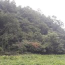 충주 행복한 농장 이미지