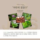 반디헤어 이미지