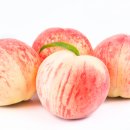 태조농장 이미지