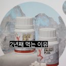 빛과에너지 | 홍삼에너지플러스 후기 건강선물 백석 빛소금 구성리뷰