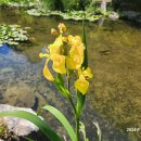 서천생태공원 이미지