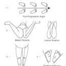 대신종축 이미지