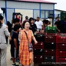 박성태농장 이미지