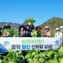경북영농 네이버블로그