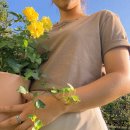 연하민박 이미지