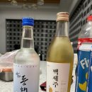 로젤 147 이미지