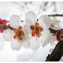 참좋은인연 이미지