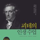 ＜괴테의 인생 수업＞/요한 볼프강 폰 괴테 이미지