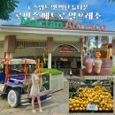 세부 막탄뉴타운 마트모음 엘지가든 로빈슨마트 메트로마트 막탄알프레소