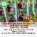 2022 &#39;뽕잎&#39; 넣은 &#34;친환경무농약 햇양파즙&#34; 판매합니다![지리산 채담빚 농원]