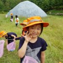 두미르어린이집 이미지