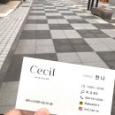 세실 | 제주 젤리펌 성공 후기 &#39;세실 제주연동점&#39; 미용실 추천