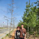 맨발걷기, 경기도 화성시 비봉습지공원 인근, 불면증 치료, 우울증 치료 후기