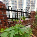 자연과함께 이미지